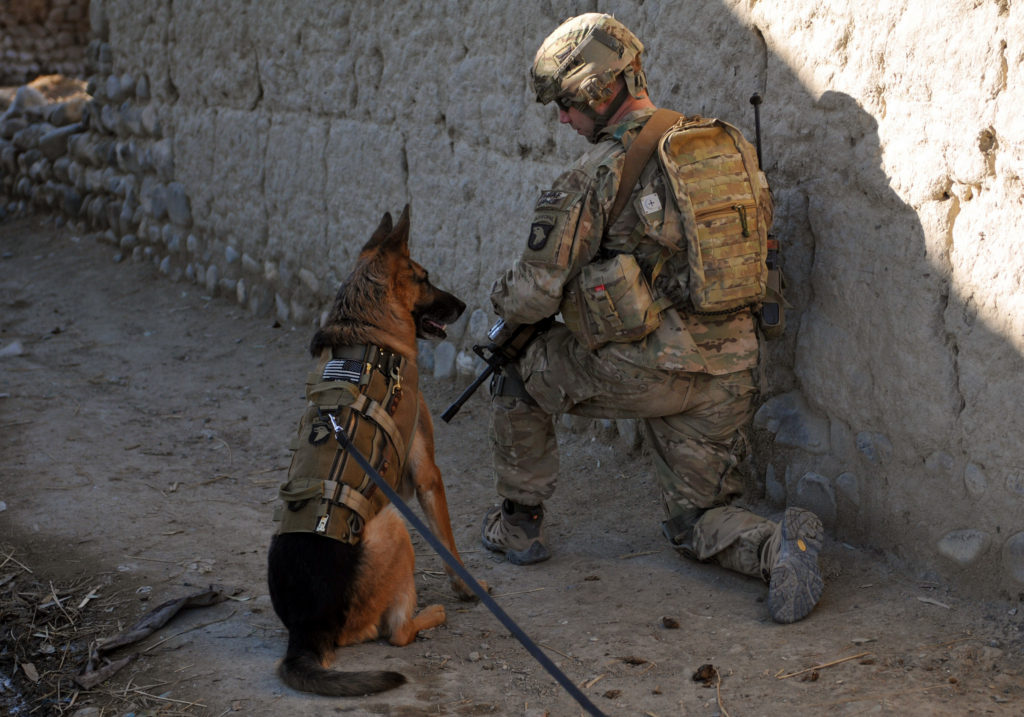 k9 veterans