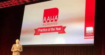 aaha practice of the year 2017