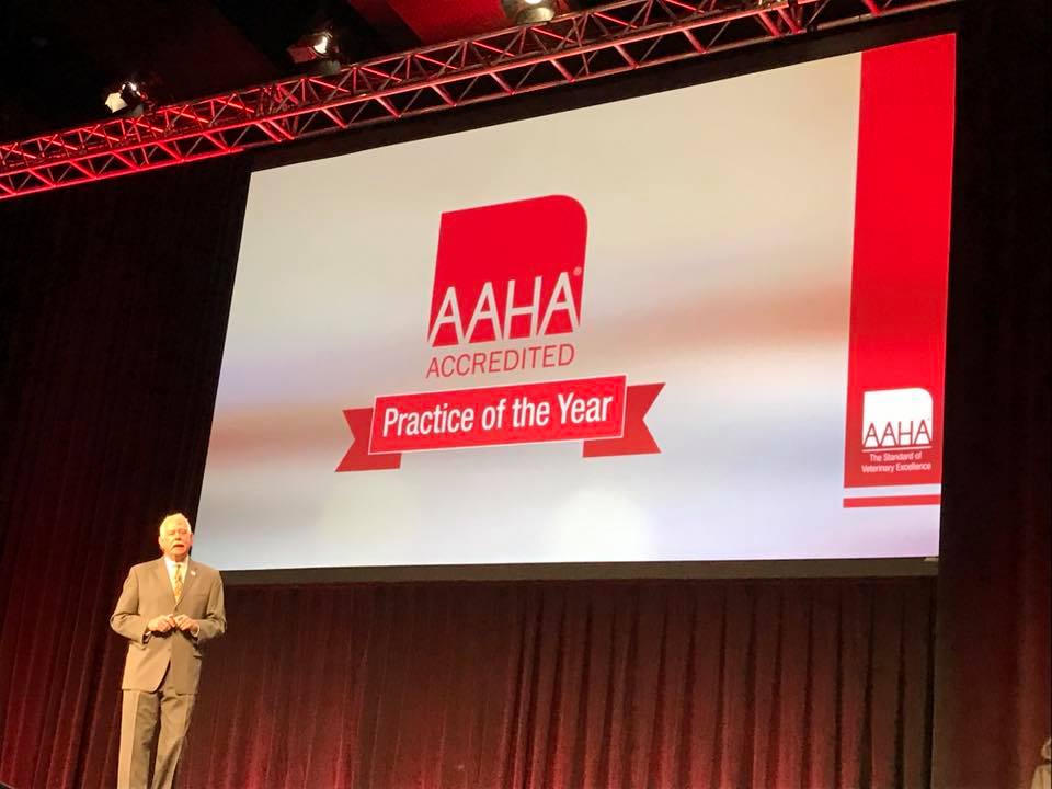 aaha practice of the year 2017