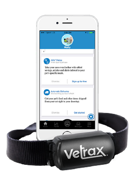 Vetrax Wearable Monitor Goodnewsforpets