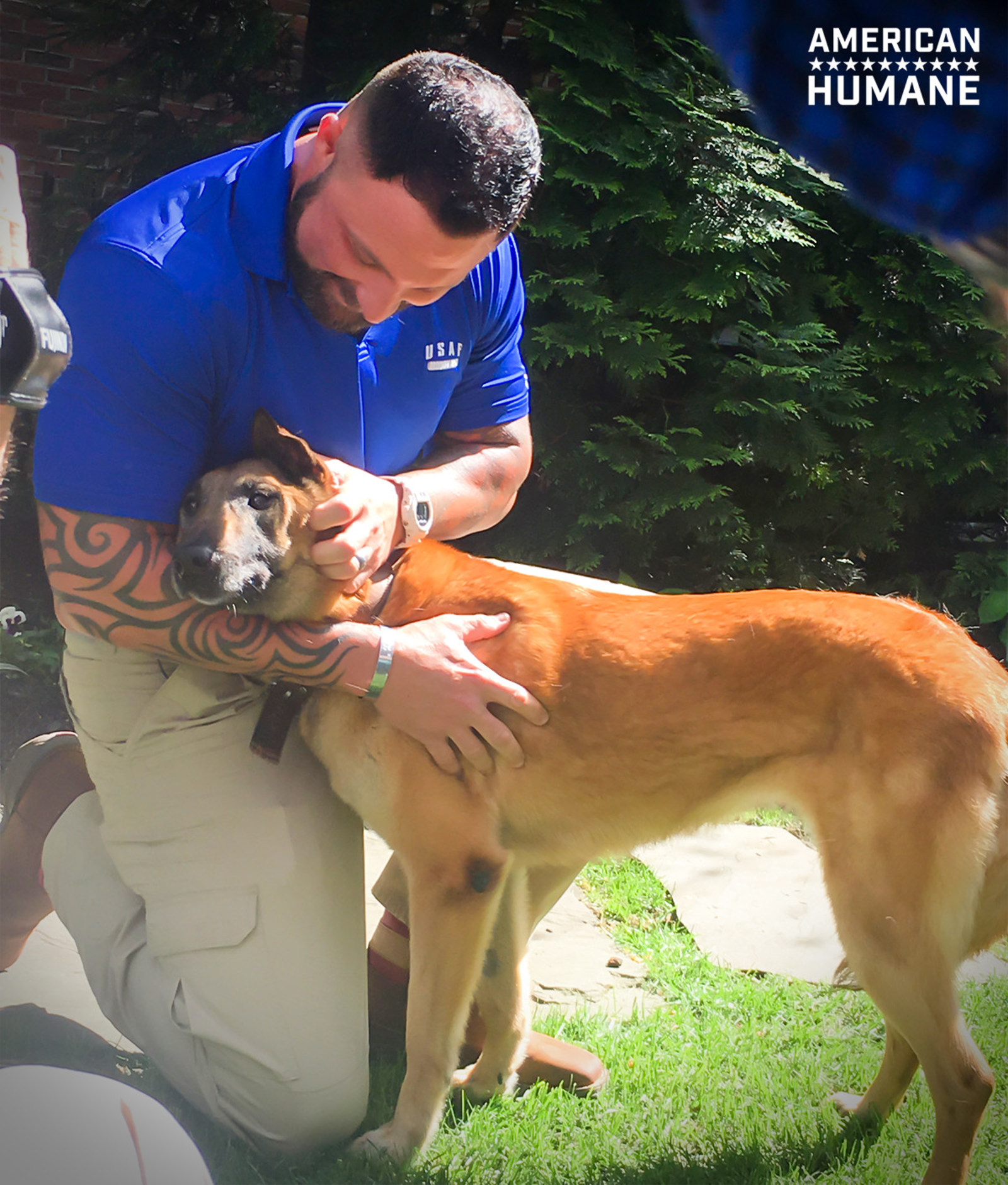 Military Dog Reunited with Former Air Force Handler After Three Years ...