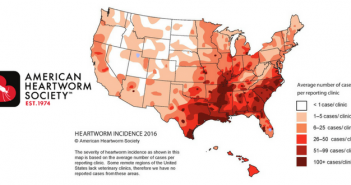 ahs heartworm incidence map