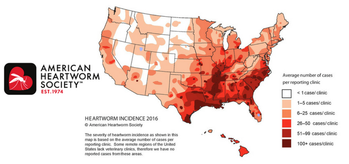 ahs heartworm incidence map