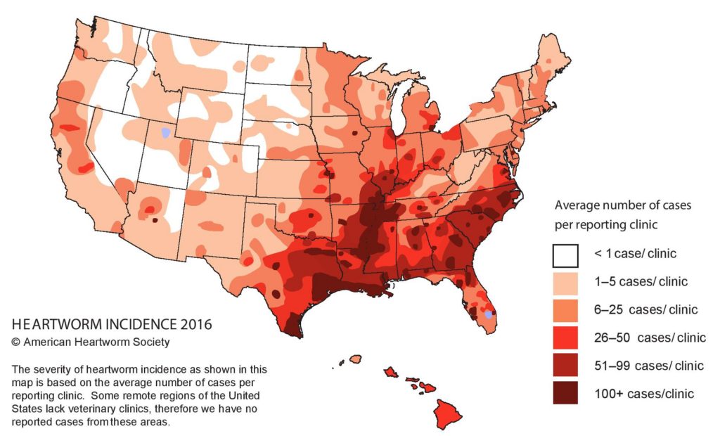 ahs american heartworm society 2016 incidence map