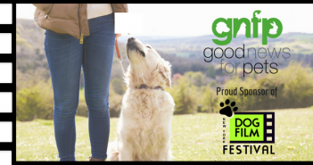 dog film festival goodnewsforpets