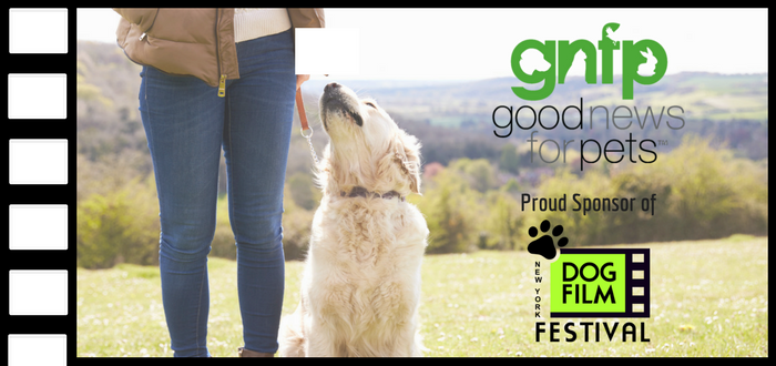 dog film festival goodnewsforpets