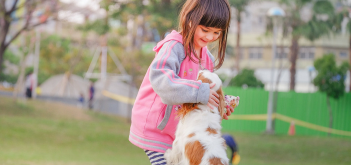 american humane dog bite prevention