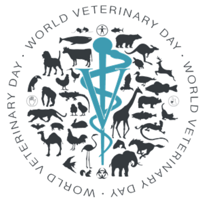 world veterinary day