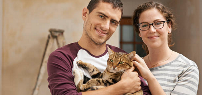 Adopt-A-Shelter-cat month goodnewsforpets