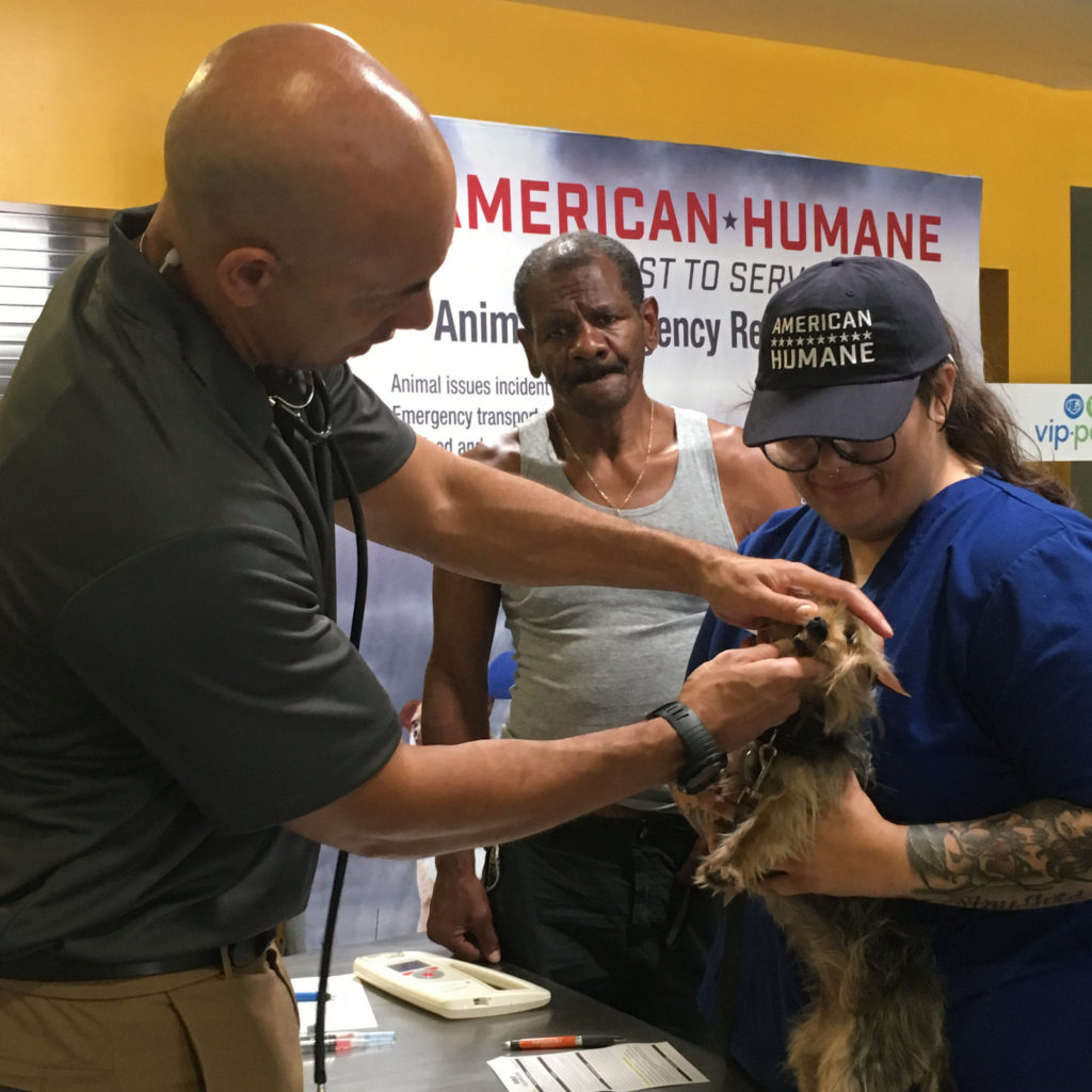 american humane pets of the homeless