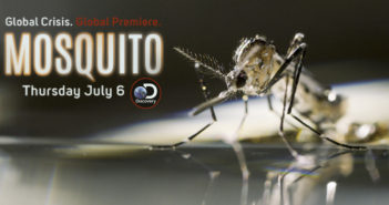 mosquito discovery channel