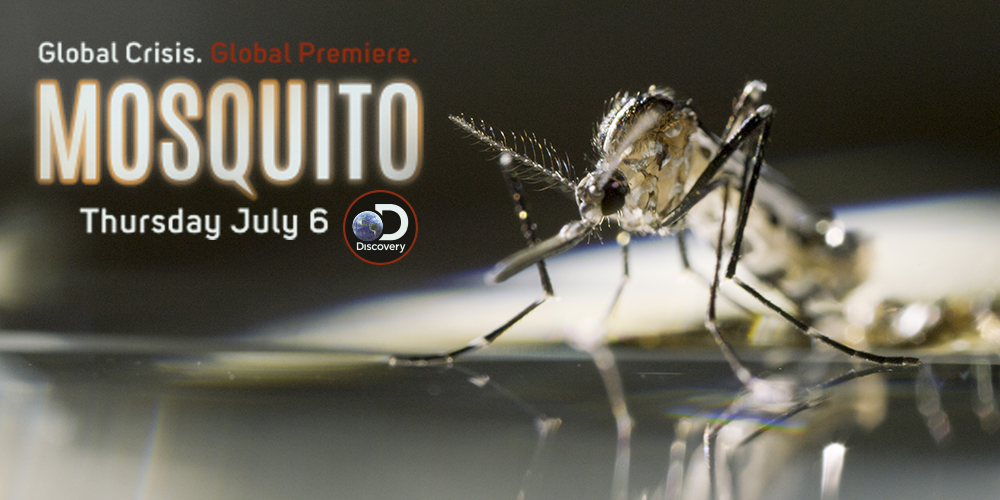 mosquito discovery channel