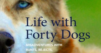 life with forty dogs dog writers dwaa