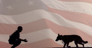 american humane patriot pups