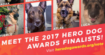 american humane hero dog awards