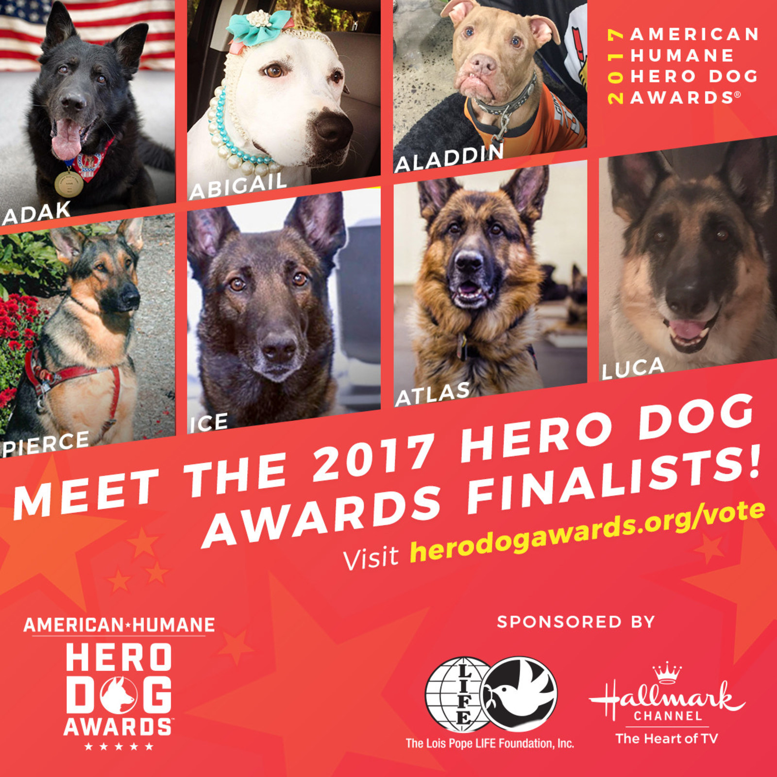 Meet America's Top Dogs! Seven Courageous Canines Named Finalists For