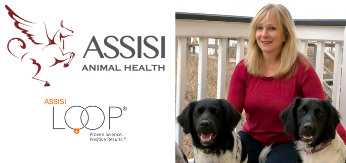 assisi animal health assisi loop judy korman