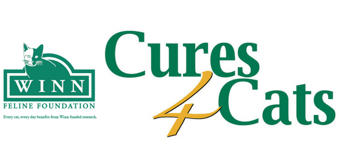 cures4cats day winn feline foundation