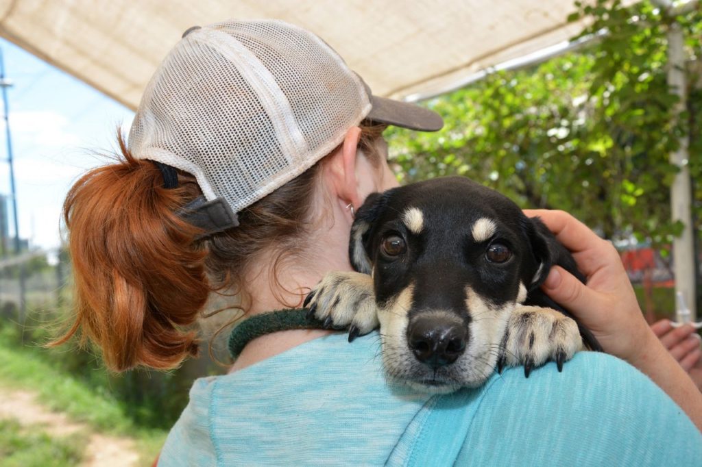 best friends hurricane harvey