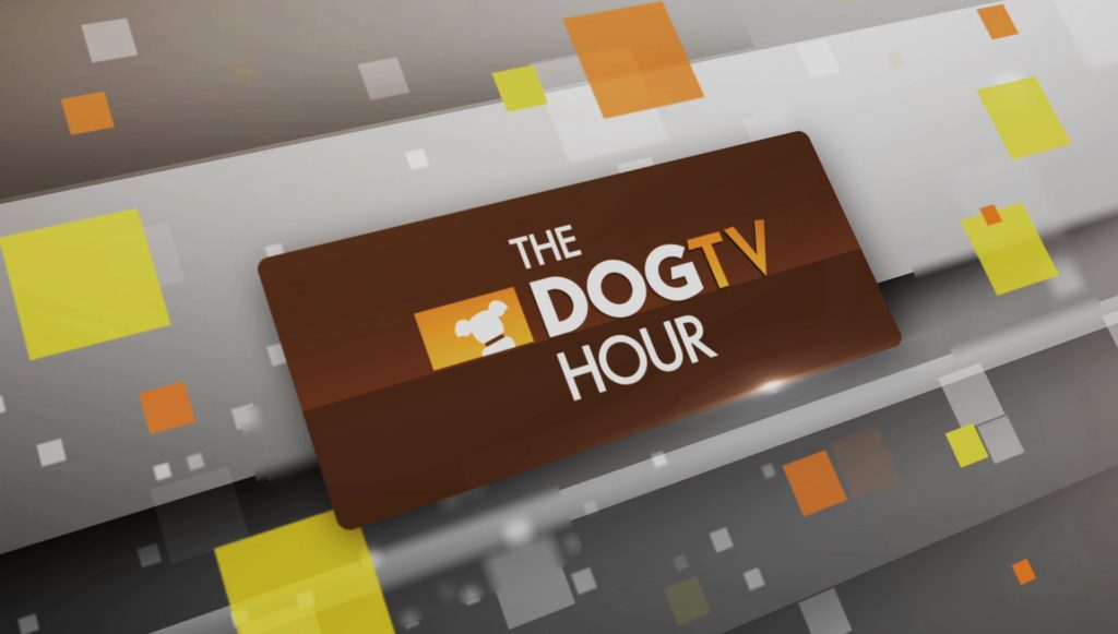 dogtv hour animal planet