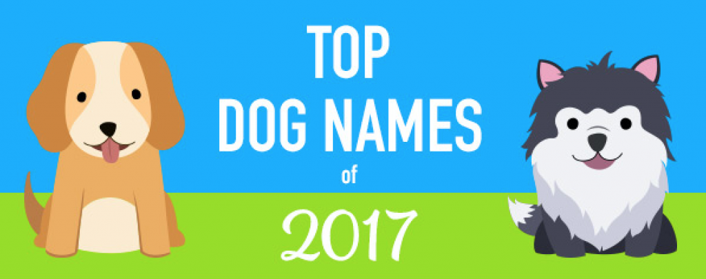 top dog names 2017