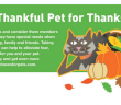 thanksgiving pet safety goodnewsforpets