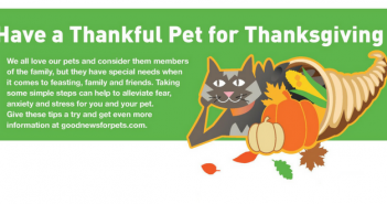 thanksgiving pet safety goodnewsforpets