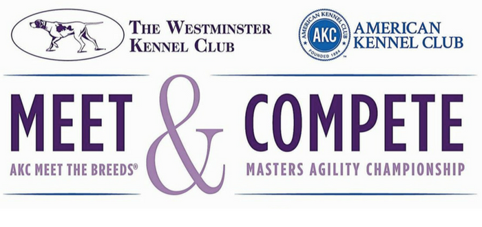 westminster kennel club american kennel club meet and compete meet the breeds