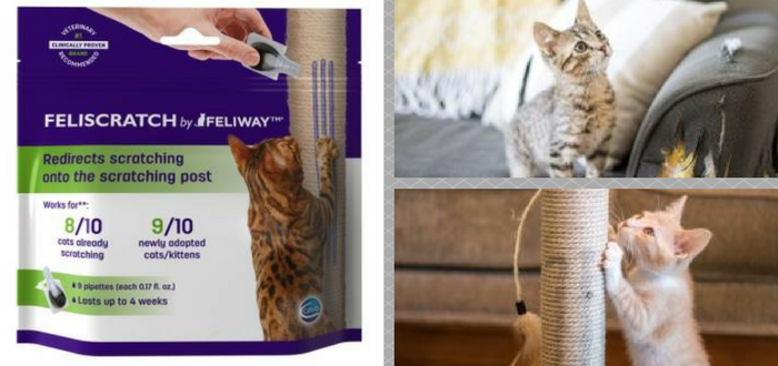 New product will have cats scratching in the proper place