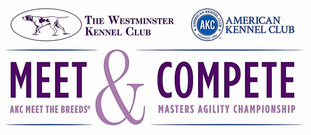 westminster kennel club american kennel club meet and compete meet the breeds