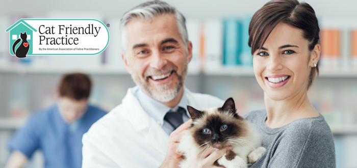 aafp cat friendly practice cat vet american association of feline practioners