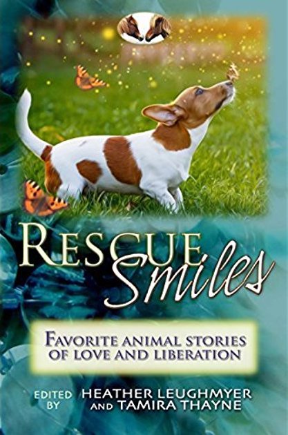 dog writers dwaa rescue smiles