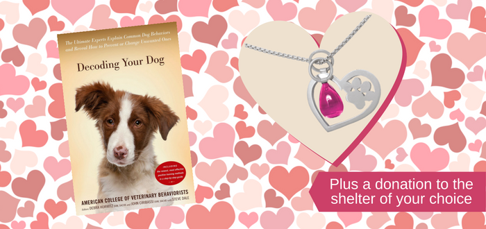 february contest heart paw pet behavior decoding your dog