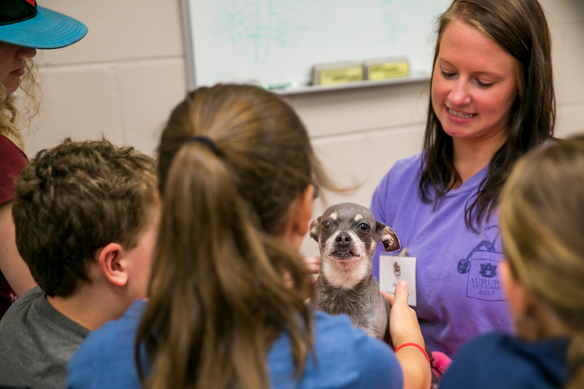 A Vet Camp Contest 2018 Helps Aspiring Teens and Tweens Explore