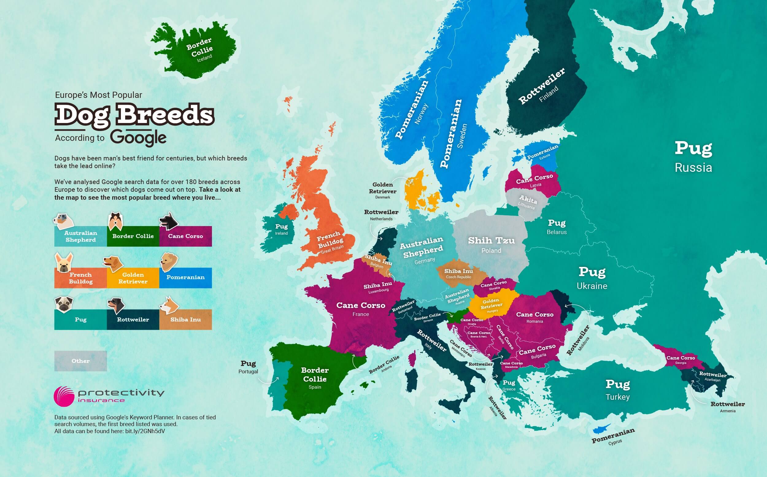 Europe's Most Popular Dog Breeds By Google Search Goodnewsforpets