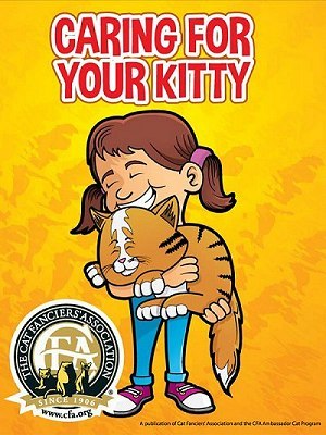 Caring For Your Kitty