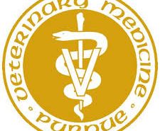 Purdue Veterinary Medicine Logo