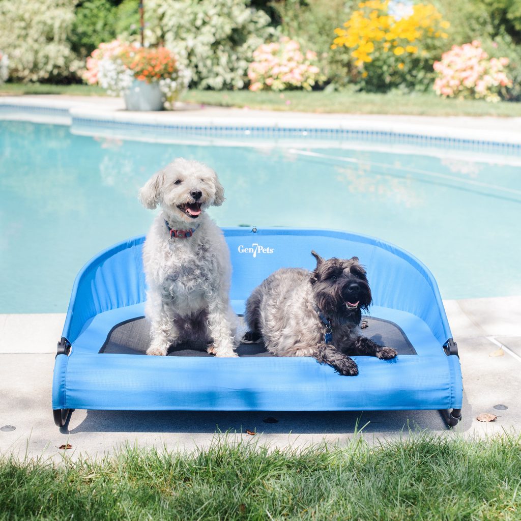Cool-Air Cot Pet Bed portable convenience for your pet