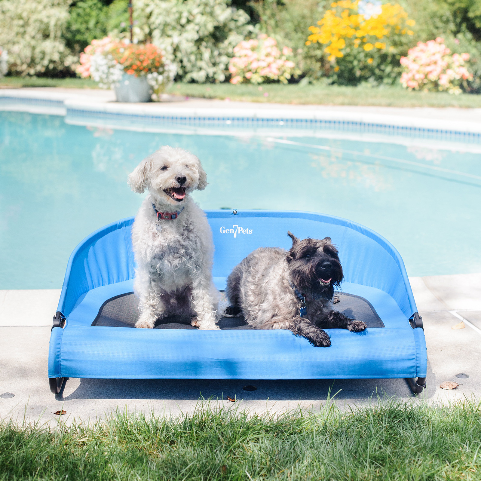 CoolAir Cot Pet Bed portable convenience for your pet