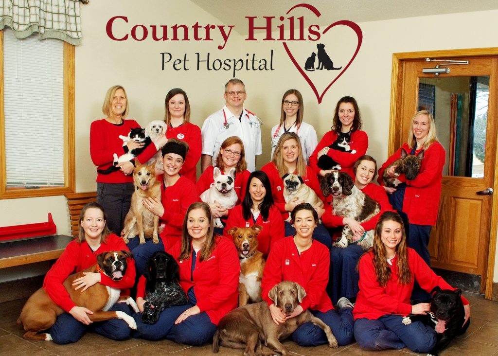 Country Hills Pet Hospital Named AAHA Practice of the Year