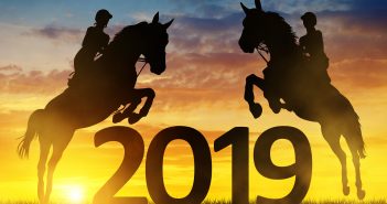 Happy New Year From Goodnewsforpets & Tips on Holiday Pet Safety Happy New Year 2019