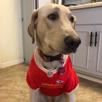 Lola in her Chiefs Shirt