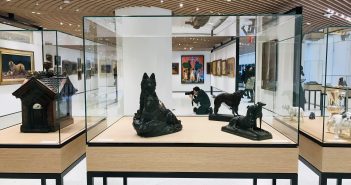 Museum of the dog inside