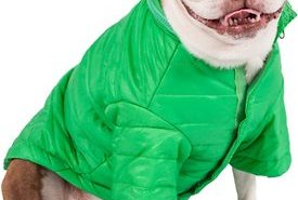 Pet Life Green Coat