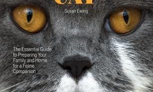 77 Things to Know Before Getting A Cat