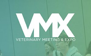 VMX logo