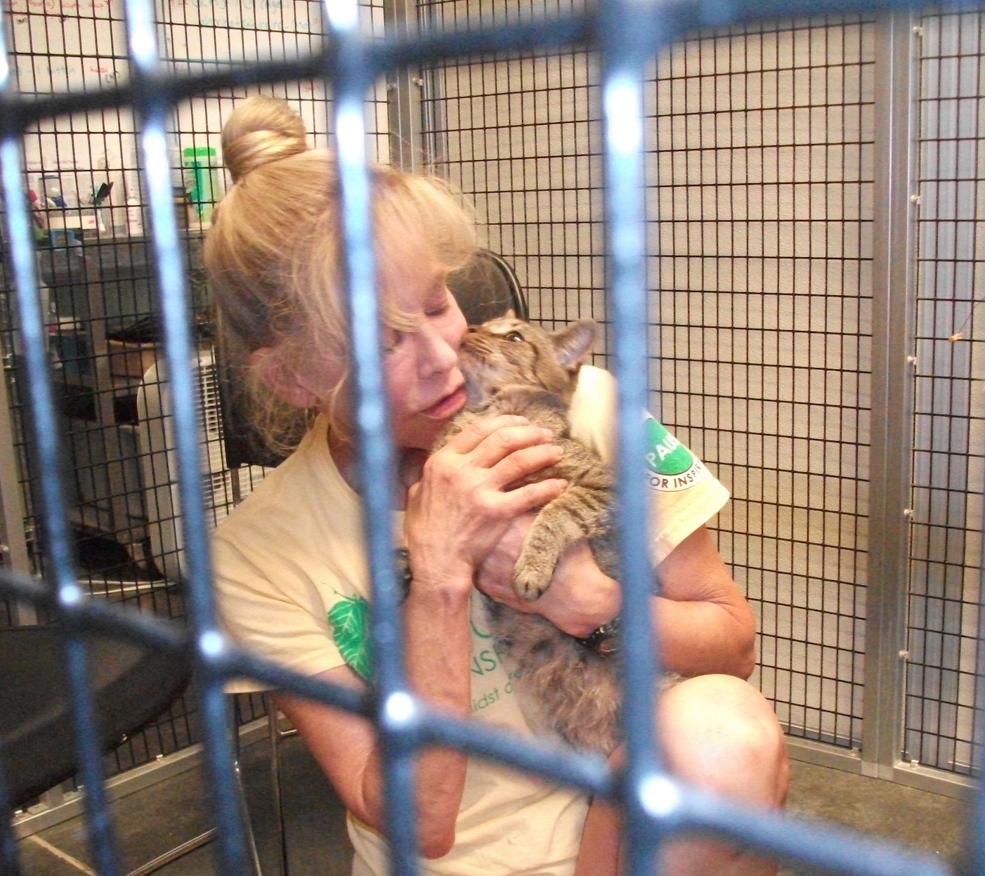 North Carolina Cat Lover Wins Goodnewsforpets Contest and Safe Haven