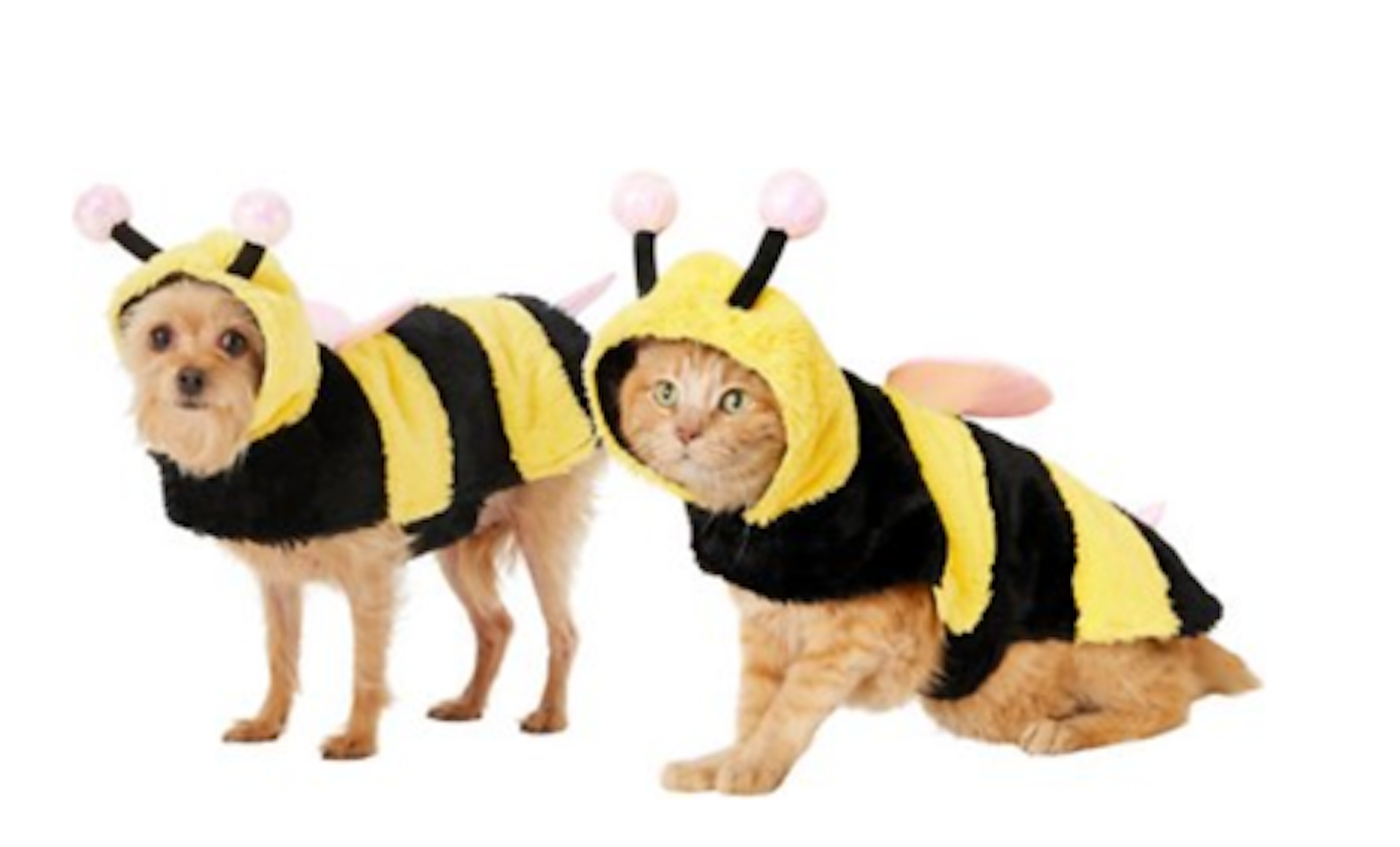 Forum Novelties Bumble Bee Pet Costume X-Small X