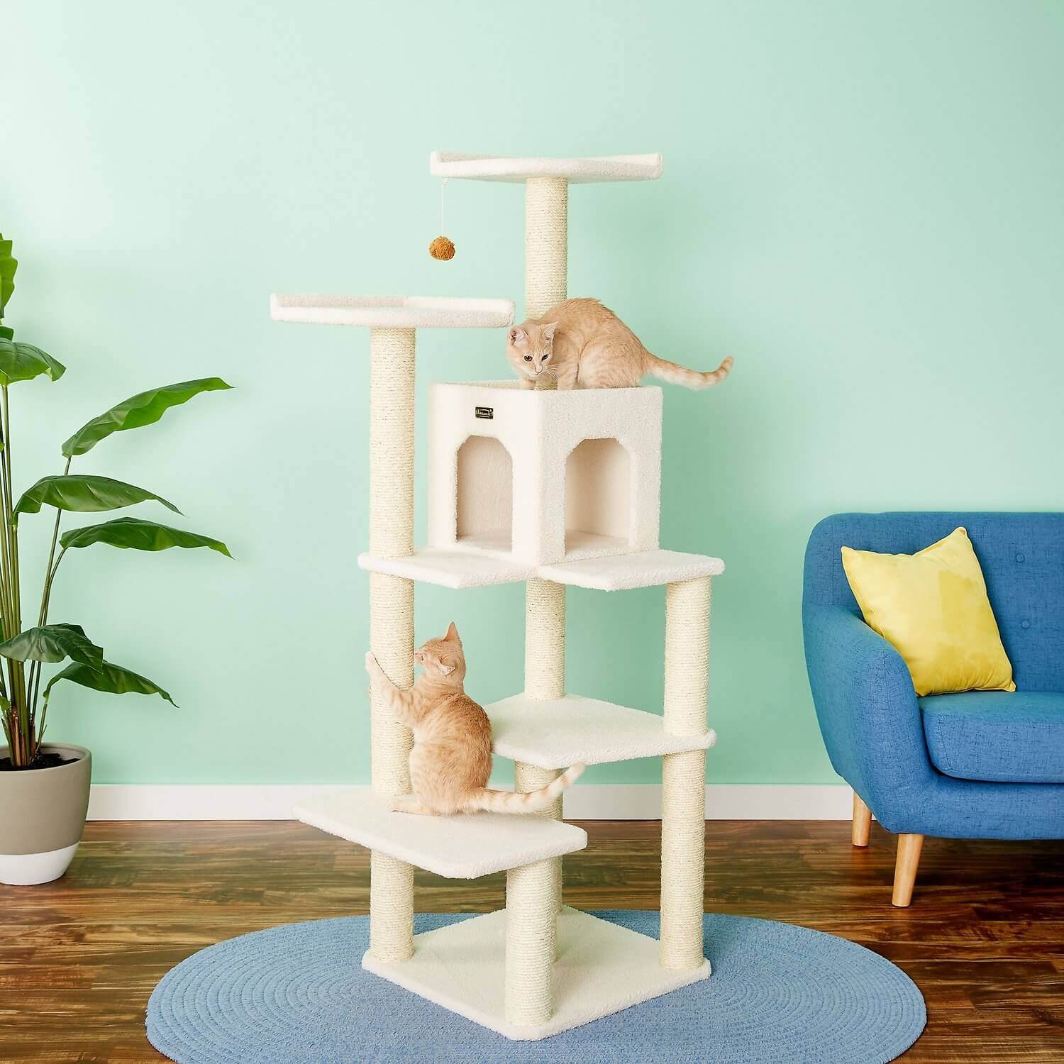 new year resolutions cat tree cat daddy