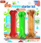 Nylabone Puppy Starter Kit